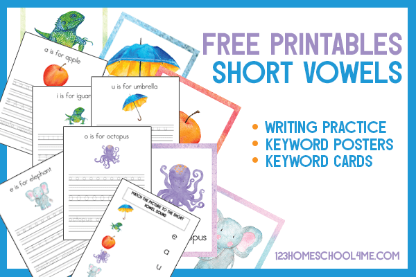 short vowels short vowels