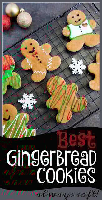 Best-Gingerbread-Cookies-Recipe