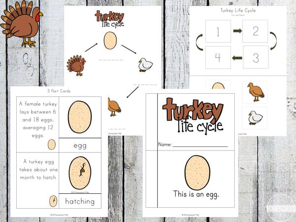 turkey worksheets turkey worksheets