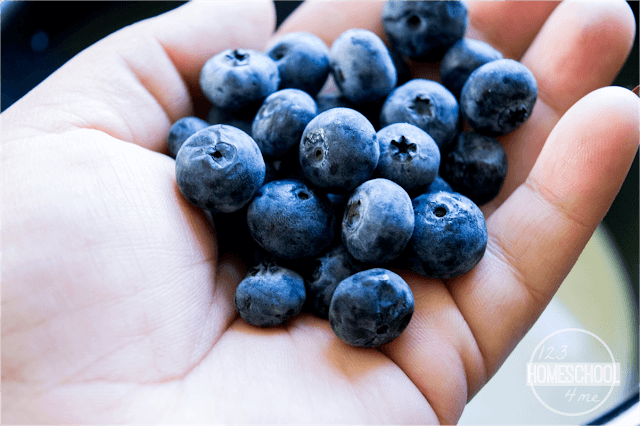blueberry recipes blueberry recipes