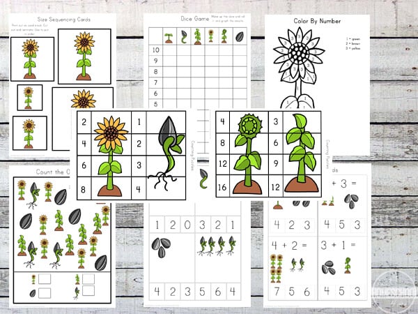 sunflower-kindergarten-worksheets sunflower-kindergarten-worksheets
