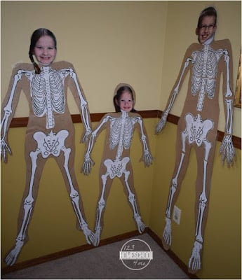 Skeletal System science project Skeletal System science project