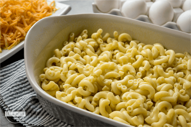 put drained, cooked macaroni in casserole dish put drained, cooked macaroni in casserole dish