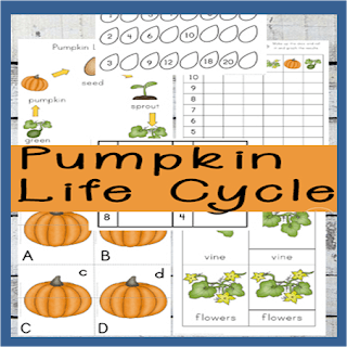 life cycle of a pumpkin worksheet