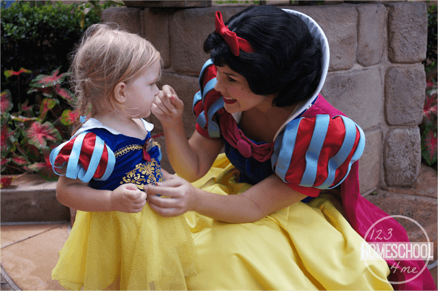 tips for meeting princesses at walt disney world tips for meeting princesses at walt disney world