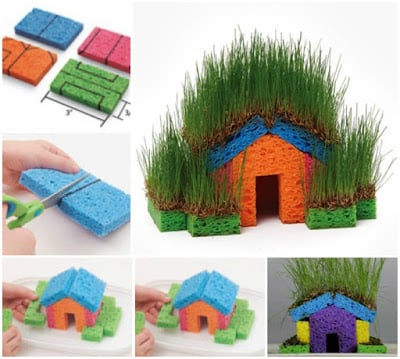 grass-seed-sponge-house-summer-activity-for-kids grass-seed-sponge-house-summer-activity-for-kids