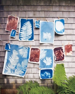 leaf-nature-sun-prints-craft-for-kids leaf-nature-sun-prints-craft-for-kids