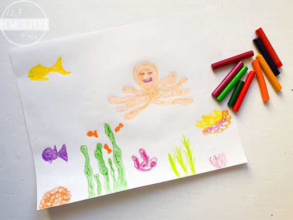 draw-picture-of-fish-seaweed-coral-octopus-shark-with-crayons draw-picture-of-fish-seaweed-coral-octopus-shark-with-crayons
