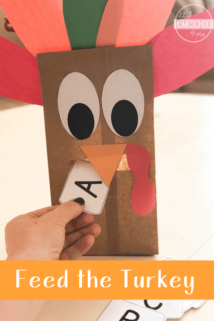 Feed the Turkey Educational Activity