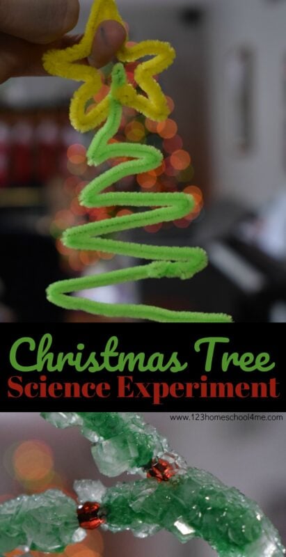 Christmas-Tree-Science-Experiment