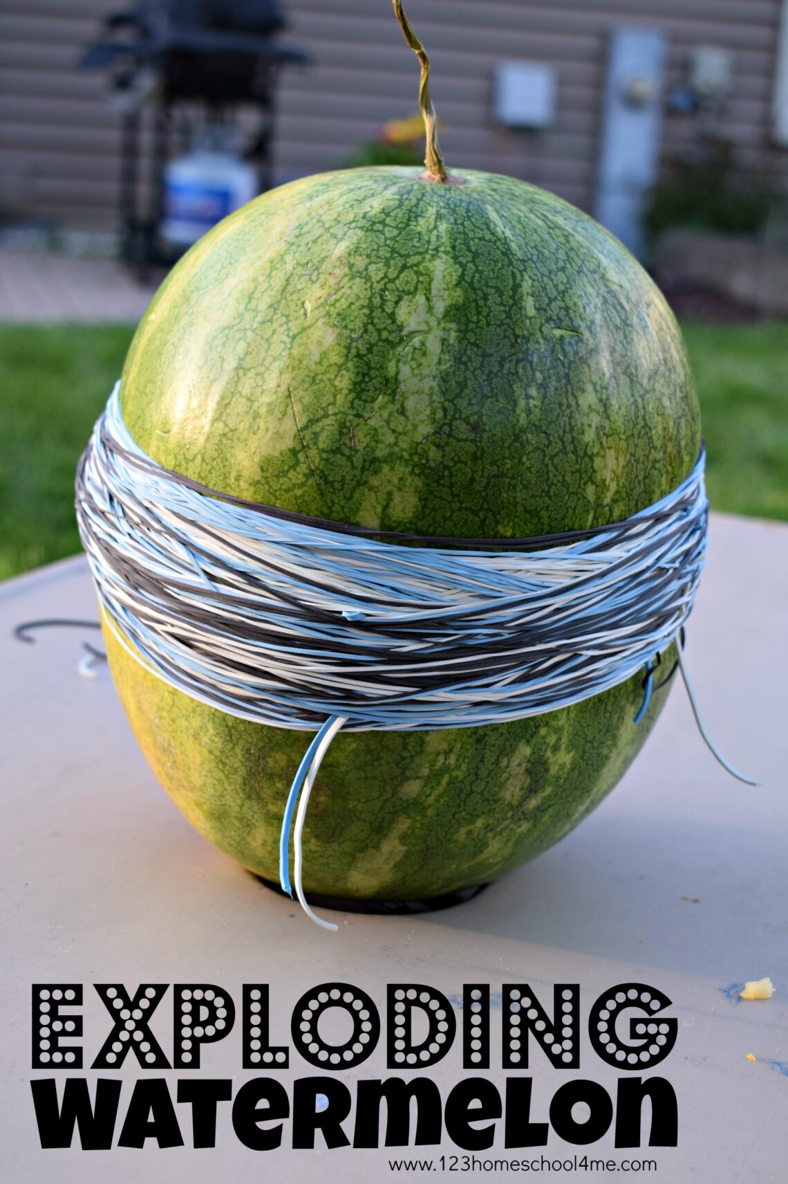 🍉 Exploding Watermelon Science Experiment for Summer