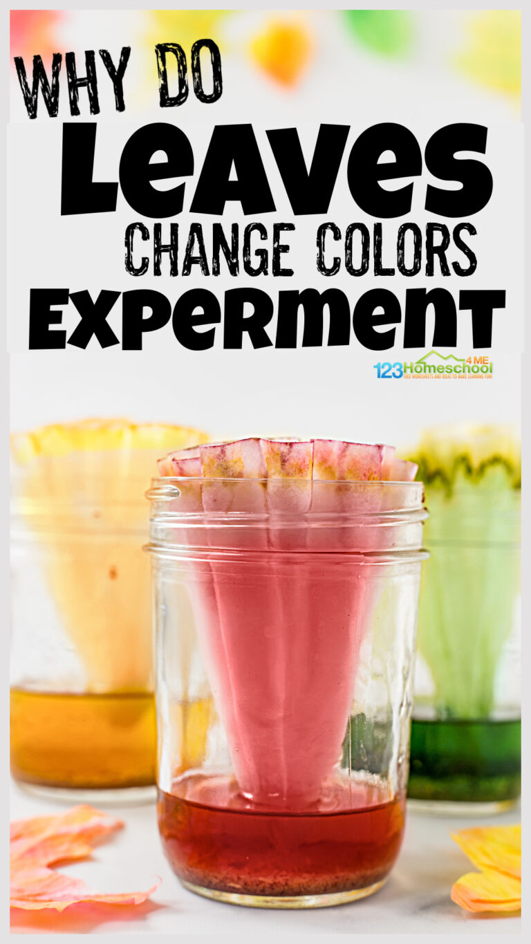 Why Do Leaves Change Color Experiment For Kids