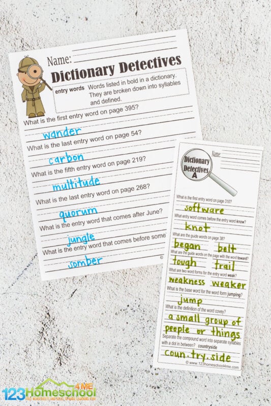 dictionary practice worksheets