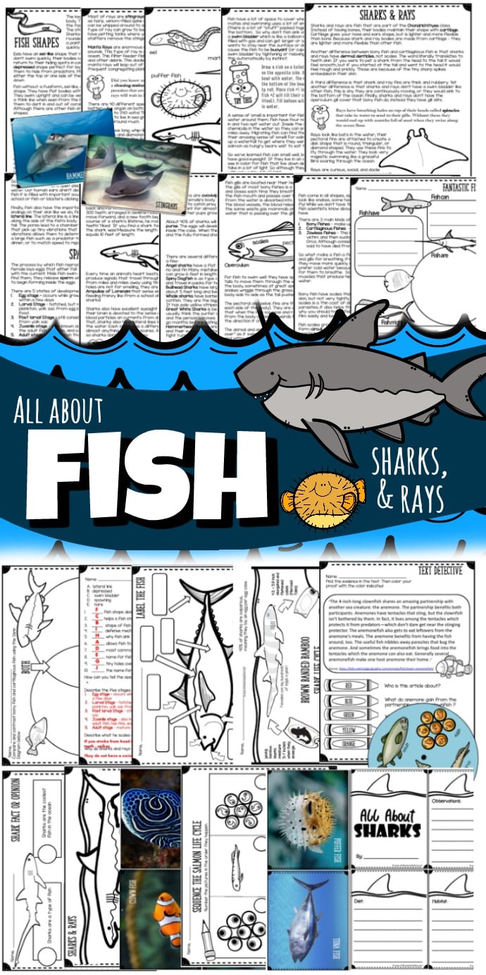 FREE Printable Alphabet Go Fish Game free-printable-alphabet-go-fish-game