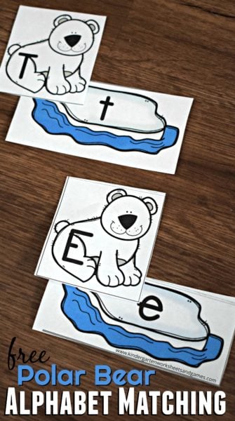 polar bear alphabet match