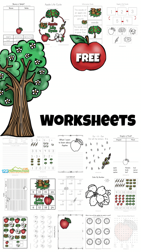 Free Apple Life Cycle Printable Worksheets