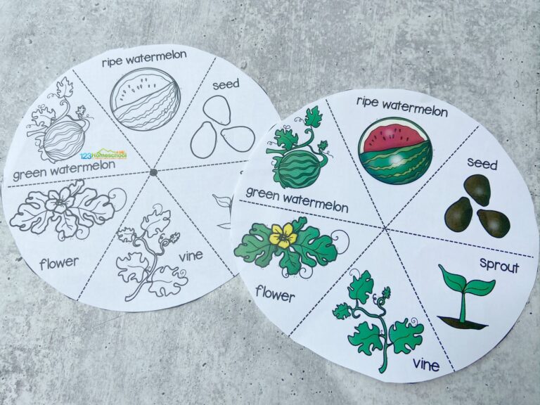  FREE Watermelon Life Cycle Printable Spinner Activity For Kids