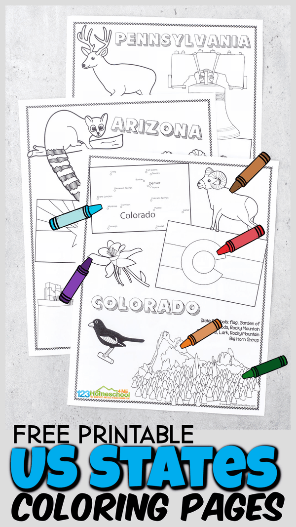 Kids Flag Game Printable Flag Activity