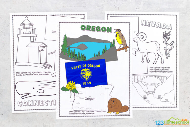 🗽 FREE Printable 50 United States Coloring Pages for Kids