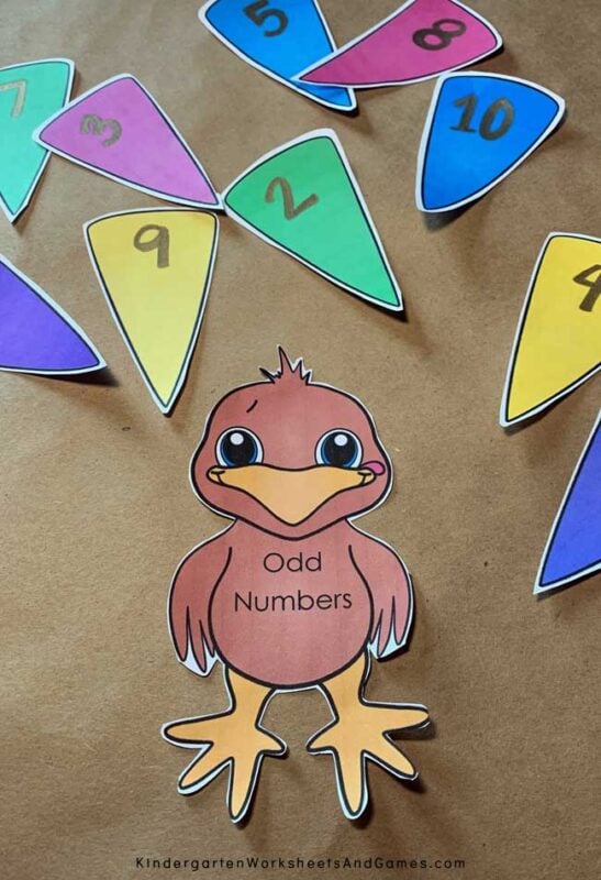 FREE printable turkey template to teach odd and even numbers this Thanksgiving with Kindergarten and grade 1 students.