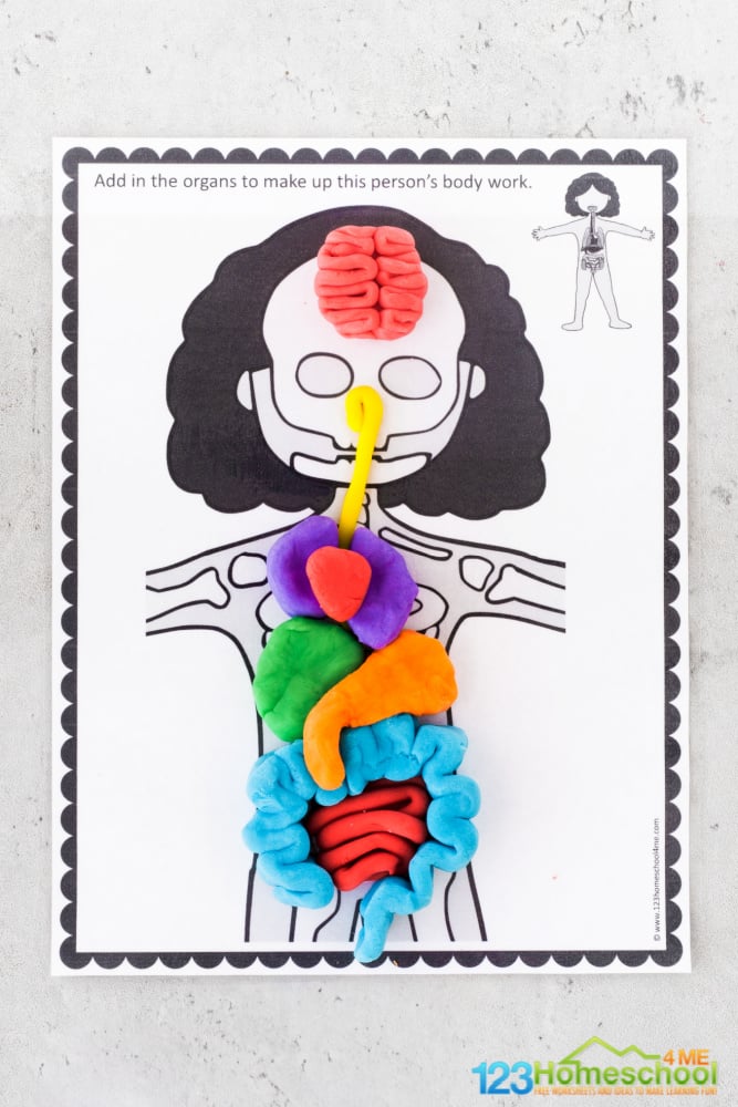 FREE Human Body Playdough Mats Printable Activity For Kids free-human-body-playdough-mats-printable-activity-for-kids