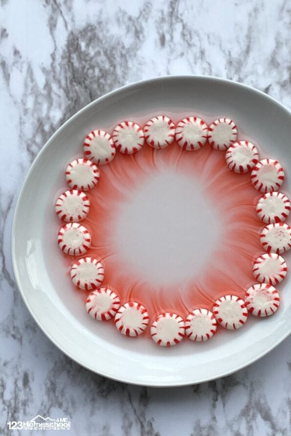 🎄 Magic Melting Peppermint Candy Christmas Science Experiment