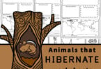 Children will love learning about these fascinating animals from around the world that hibernate during the cold winter months. Grab these free printable Animals that Hibernate Worksheets for kindergarten, first grade, 2nd grade, 3rd grade, 4th grade, 5th grade, and 6th grade students to make learning about animals fun and easy!