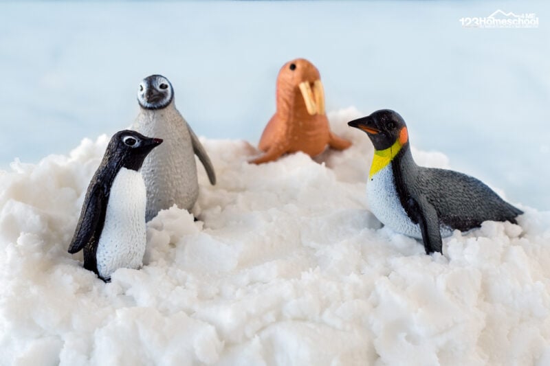 How to Make Snow Dough