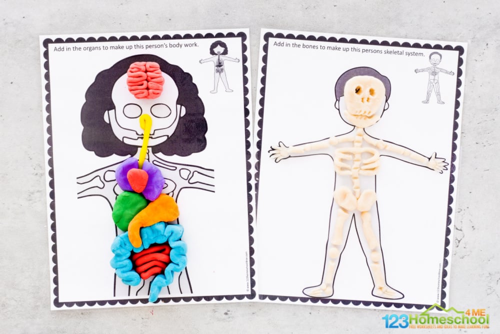 FREE Human Body Playdough Mats Printable Activity for Kids