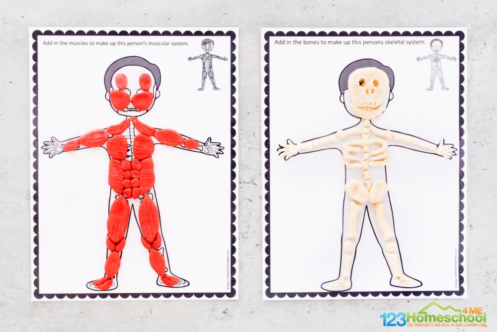 FREE Human Body Playdough Mats Printable Activity for Kids