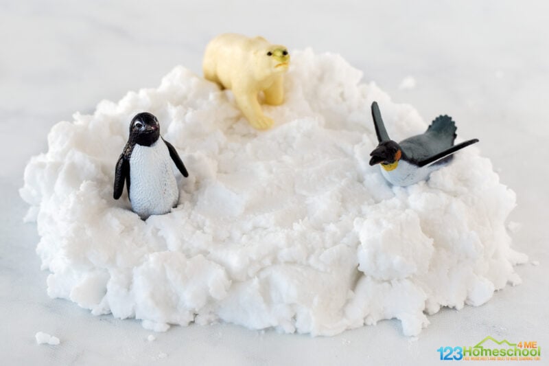 Penguin Activities