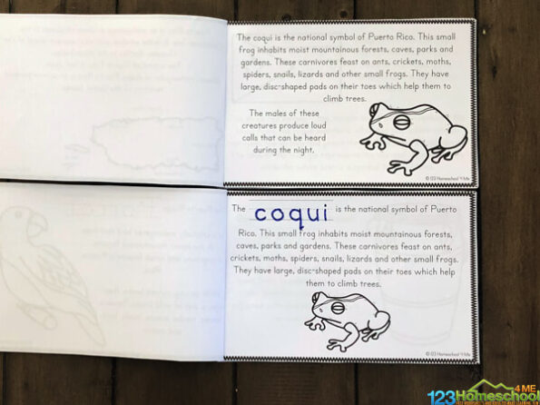 FREE Puerto Rico for Kids Printables Reader