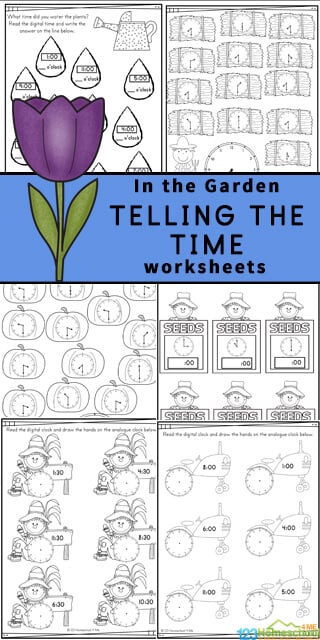 Introduce children in pre-k, preschool, kindergarten, first grade, and 2nd grade to learning to read a clock with these fun Garden themed Telling the Time Worksheets. Concentrating on learning the o'clock and half-past times, these worksheets are a great way to introduce time and reading a clock to your children. Simply print pdf file with clock worksheets and you are ready for fun, free math worksheets with a fun flower theme.