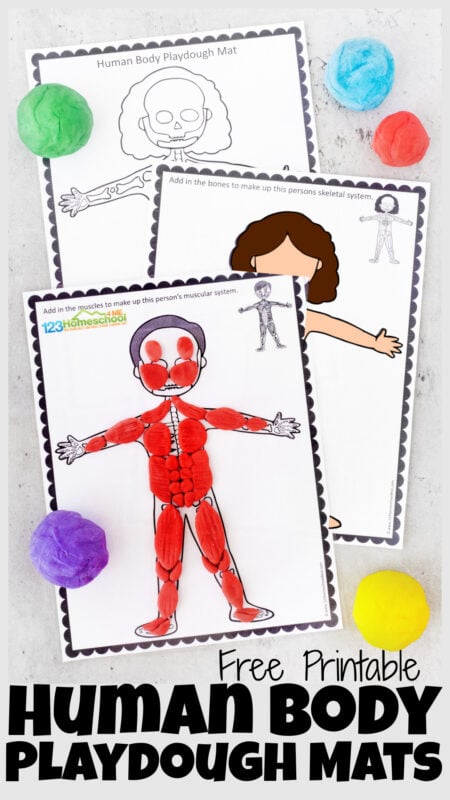 Free Human Body Playdough Mats Printable Activity For Kids