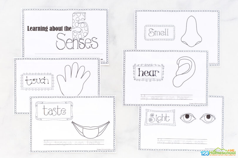 👅👂👃👀👉 My Five Senses Story Book Free Printable pdf