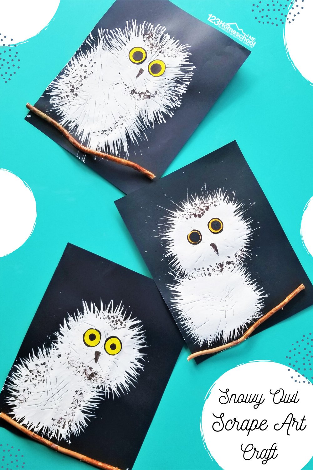 🦉 Snowy Owl Baby Scrape Art Craft for Kids