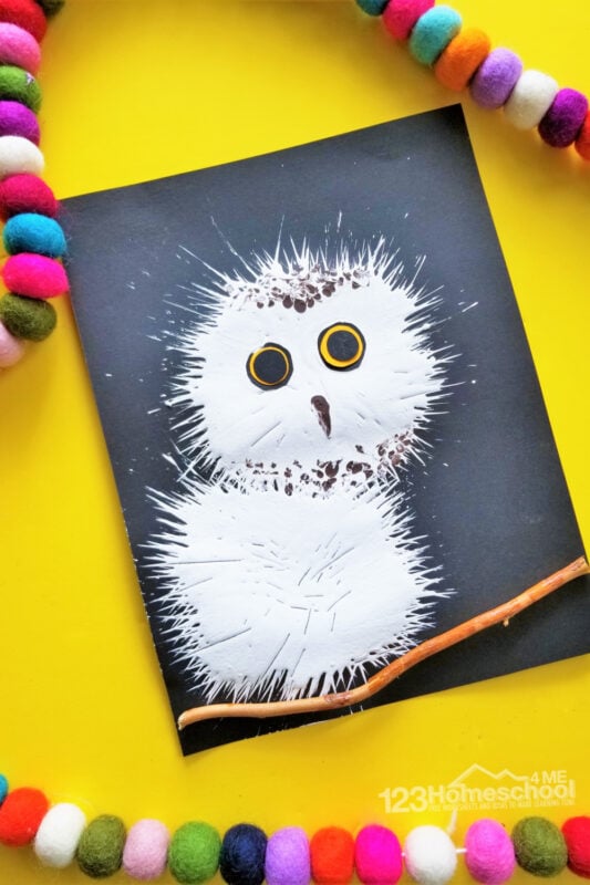 Snowy Owl Baby Scrape Art