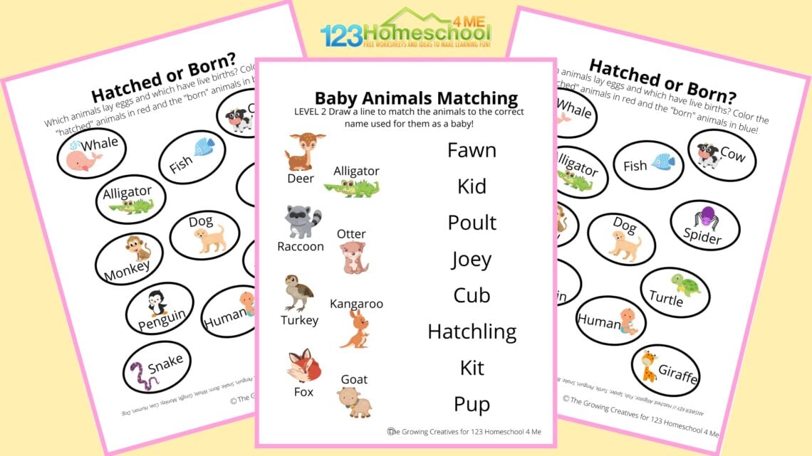 🐷 FREE Baby Animals Worksheets
