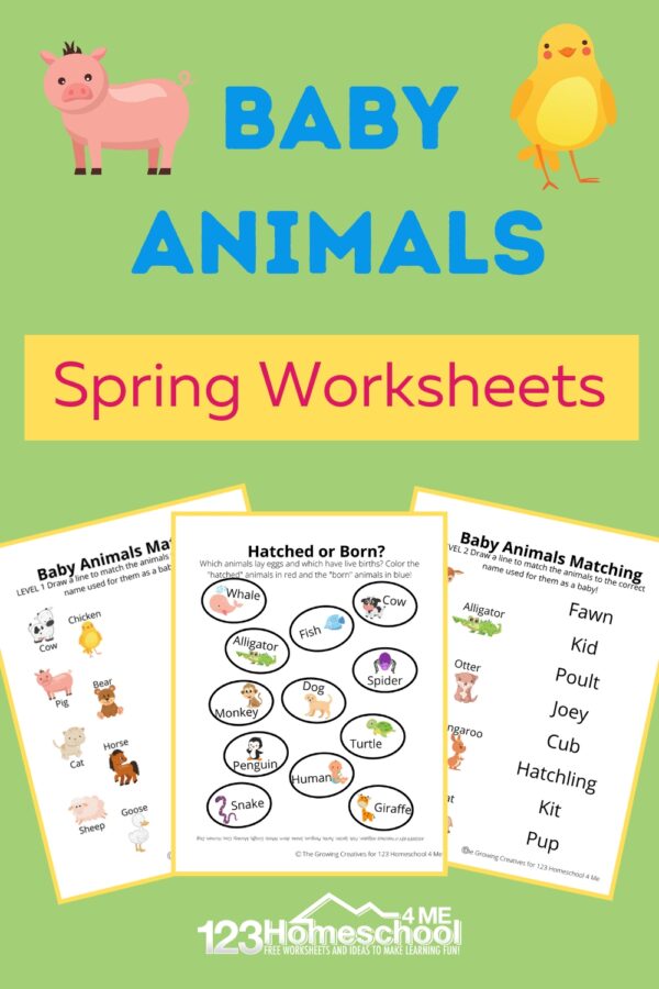 🐷 FREE Printable Baby Animals Worksheets