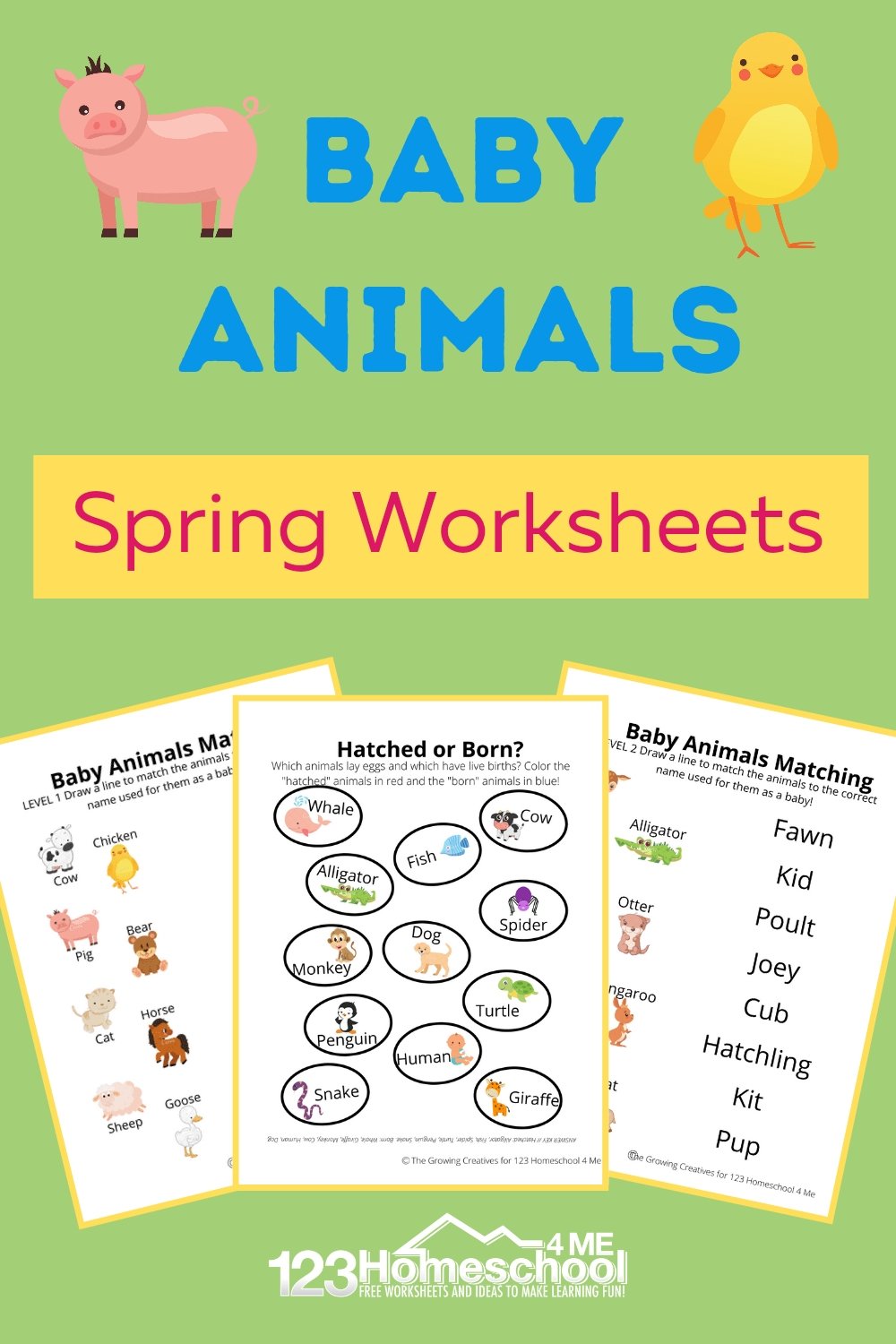 🐷 FREE Baby Animals Worksheets