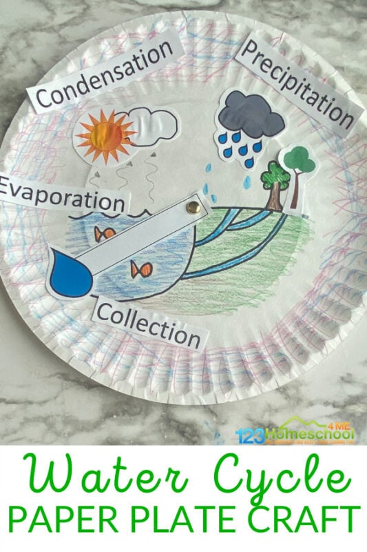 Water cycle craft