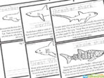 🦈 FREE Shark for Kids Printable Reader