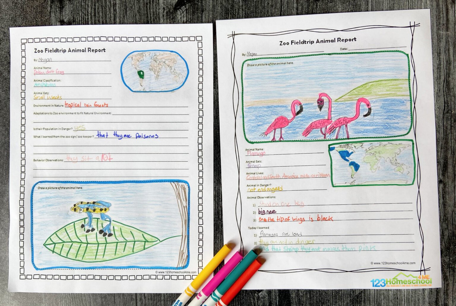 free-zoo-field-trip-worksheet-and-animal-reports