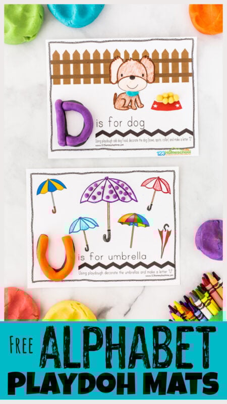 Editable Alphabet Lore 3x4 Valentine's Day Printable