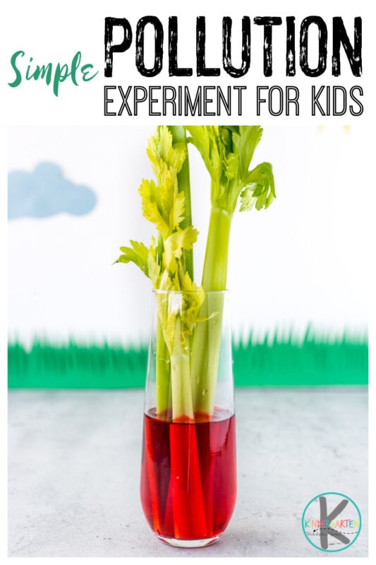 Earth Day Science - water pollution experiment for kids
