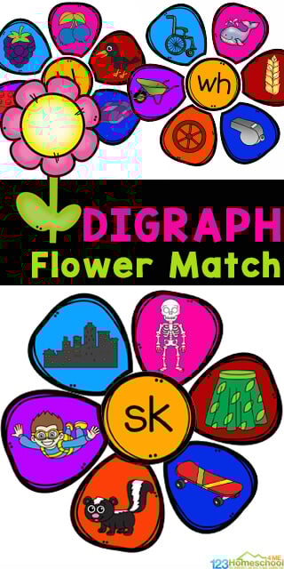 This super cute, handson digraph activity is a fun way for early readers to identify digraphs for kids! In these flower digraph games students will make flowers by matching the petals to the digraph. This digraph kindergarten is way better than boring digraph worksheets! Simply download pdf file with  digraph activities for first grade. 