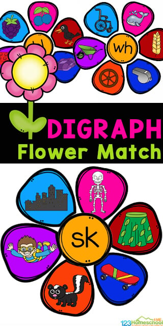 This super cute, handson digraph activity is a fun way for early readers to identify digraphs for kids! In these flower digraph games students will make flowers by matching the petals to the digraph. This digraph kindergarten is way better than boring digraph worksheets! Simply download pdf file with  digraph activities for first grade. 