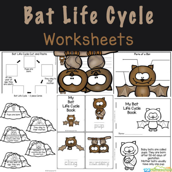  FREE Bat Life Cycle Worksheets For Kids