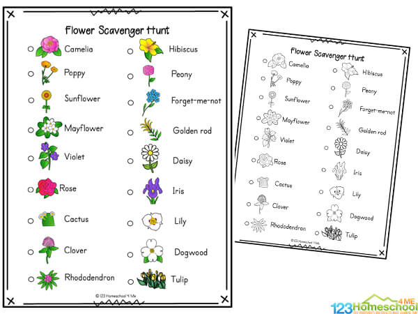 flower activity for kids