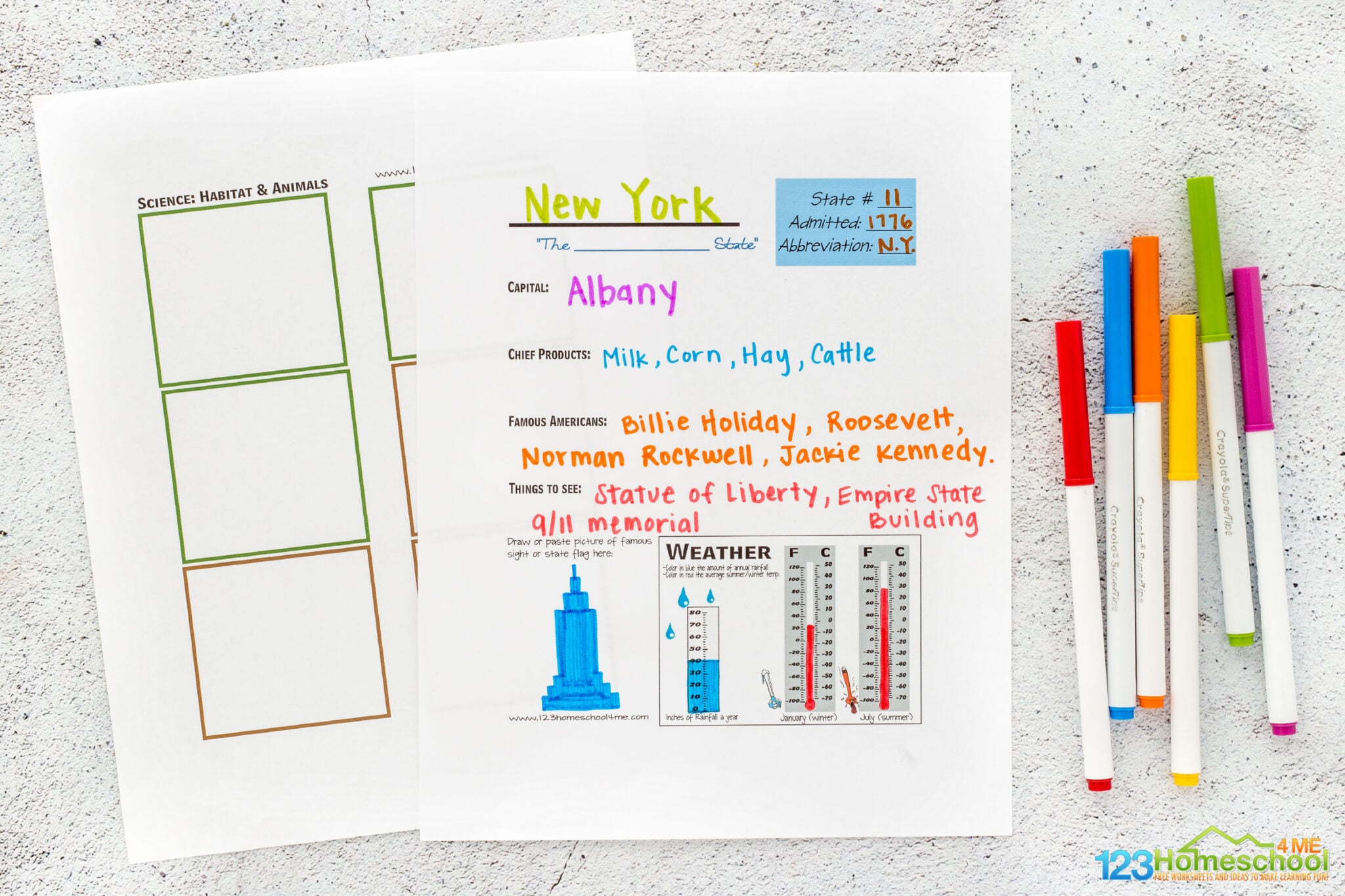 🦅 FREE Printable 50 US States Worksheets for Kids
